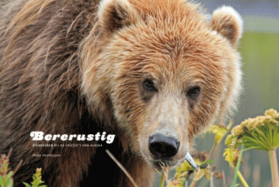 Bestel het boek over grizzly's in Alaska